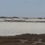 Sa Domu Antiga * Solarussa