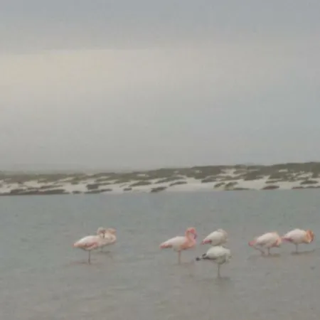 Semesterbostad Sa Domu Antiga