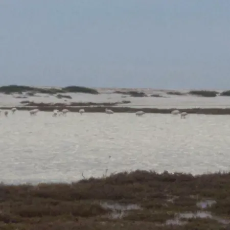 Sa Domu Antiga * Solarussa